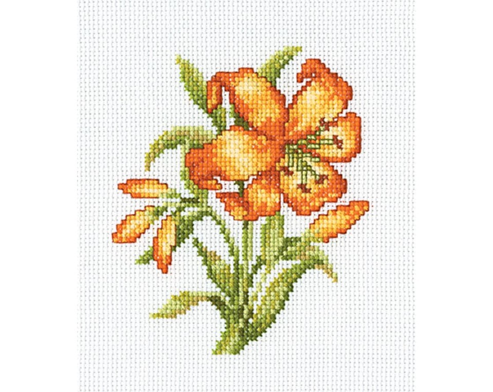 RTO keresztszemes csomag