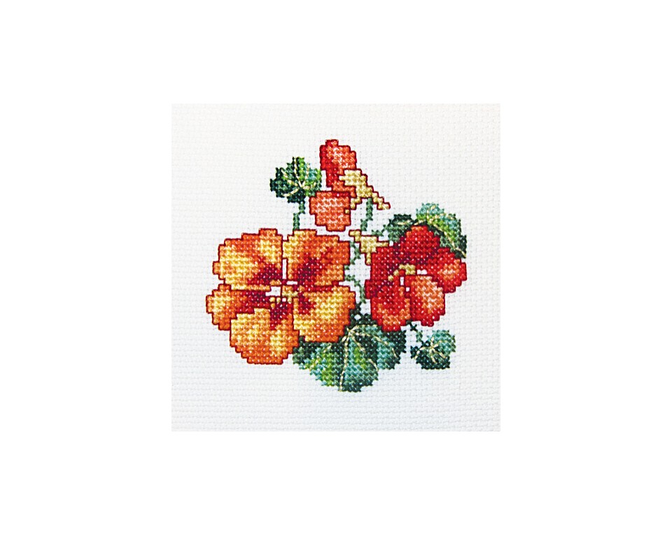 RTO keresztszemes csomag